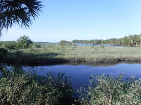 paddling Tomoka River, kayak, canoe