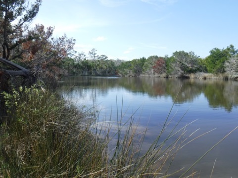 paddling Tomoka River, kayak, canoe