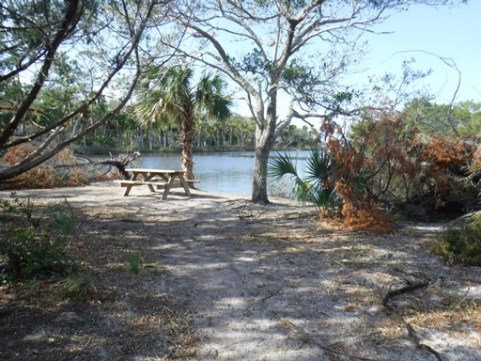 paddling Tomoka River, kayak, canoe