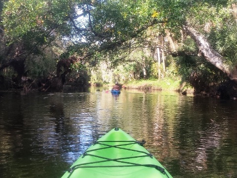 Turkey Creek Paddling, East-Central Florida. E-Z Map, Photos.