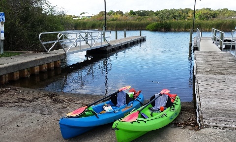 paddling Turkey Creek, kayak, canoe