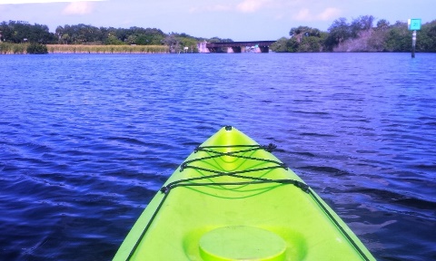 paddling Turkey Creek, kayak, canoe