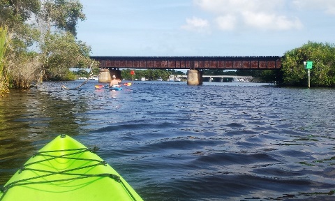 paddling Turkey Creek, kayak, canoe