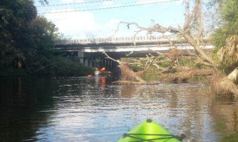 paddling Turkey Creek, kayak, canoe