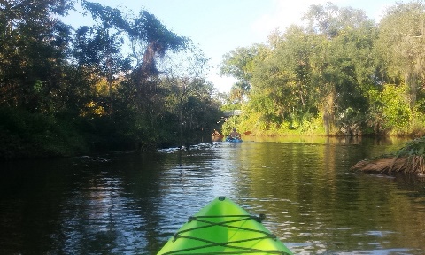 paddling Turkey Creek, kayak, canoe