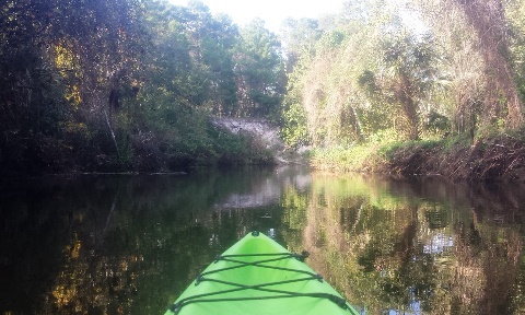 paddling Turkey Creek, kayak, canoe