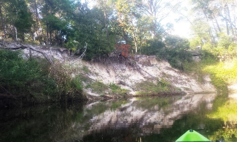 paddling Turkey Creek, kayak, canoe