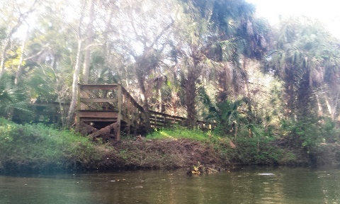 paddling Turkey Creek, kayak, canoe