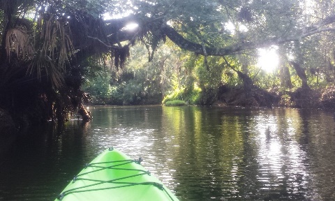 paddling Turkey Creek, kayak, canoe