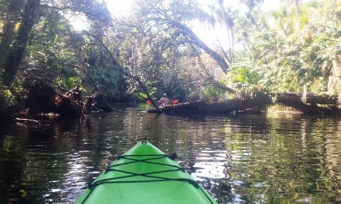 paddling Turkey Creek, kayak, canoe