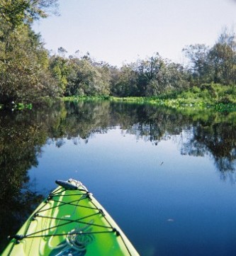 paddle Wekiva River