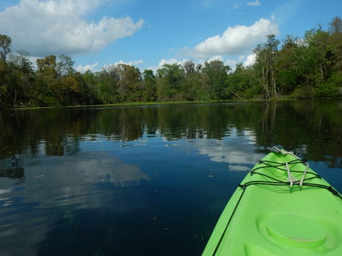 paddling Wekiva River