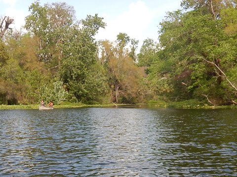 paddling Wekiva River