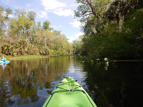 paddling Wekiva River