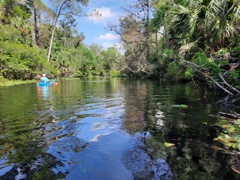 paddling Wekiva River