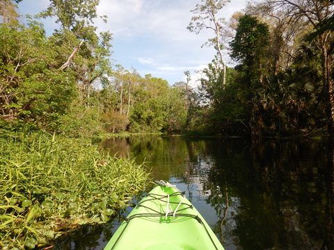 paddling Wekiva River