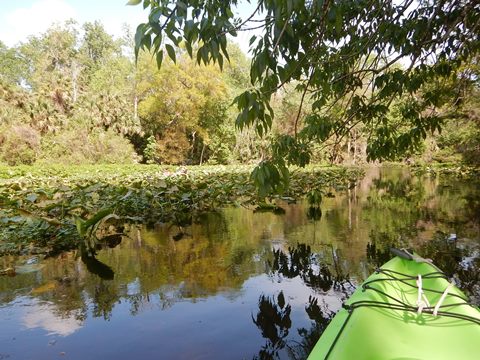 paddling Wekiva River