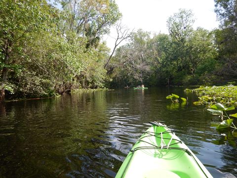 paddling Wekiva River