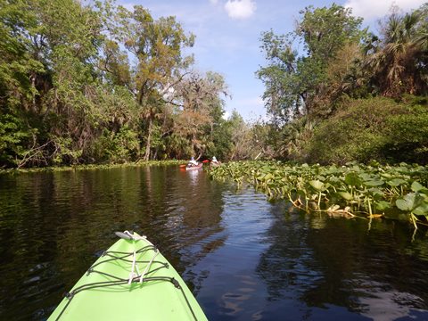 paddling Wekiva River