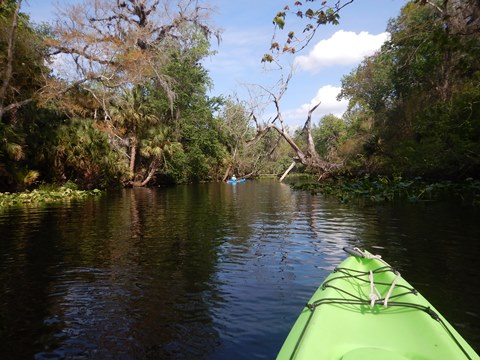 paddling Wekiva River