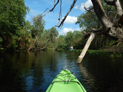 paddling Wekiva River