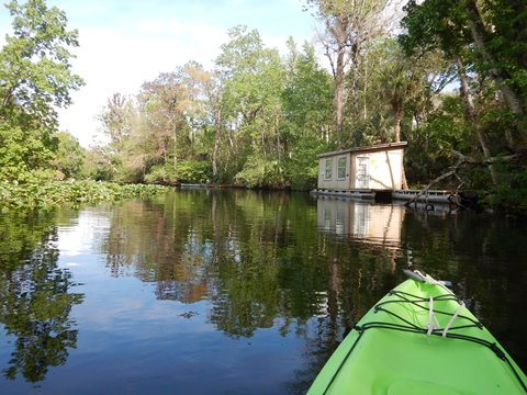 paddling Wekiva River