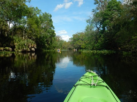 paddling Wekiva River