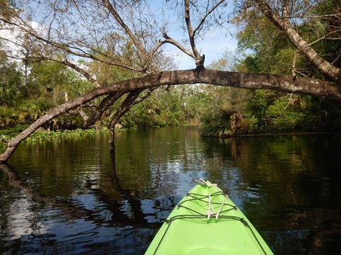 paddling Wekiva River