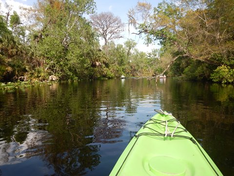 paddling Wekiva River