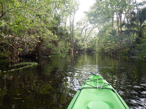 paddling Wekiva River