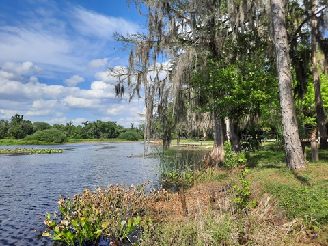 paddling Wekiva River, Katie's Landing