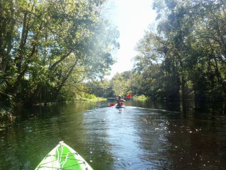 paddling Wekiva River, Katie's Landing