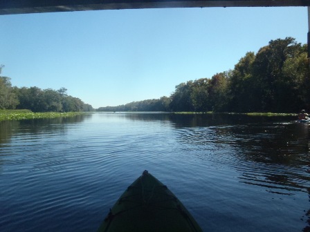 paddling Wekiva River, Katie's Landing