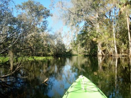 paddling Wekiva River, Katie's Landing