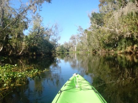 paddling Wekiva River, Katie's Landing