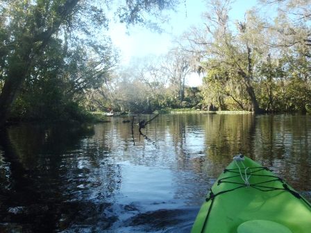 paddling Wekiva River, Katie's Landing