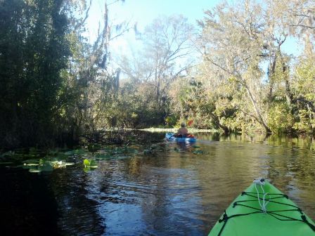 paddling Wekiva River, Katie's Landing