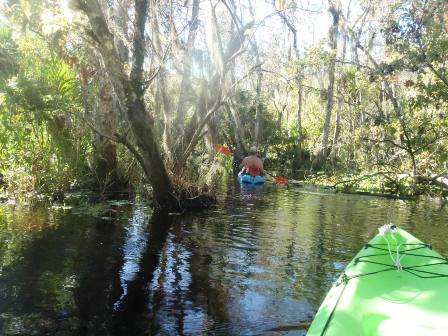 paddling Wekiva River, Katie's Landing