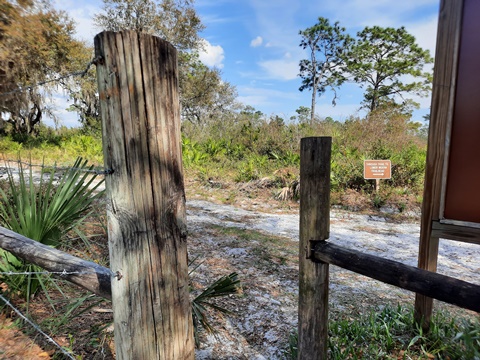 paddling Wekiva River, Katie's Landing