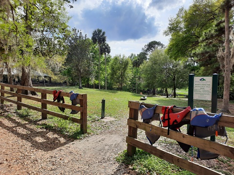 paddling Wekiva River, Wilson's Landing