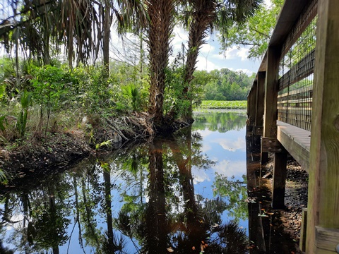 paddling Wekiva River, Wilson's Landing