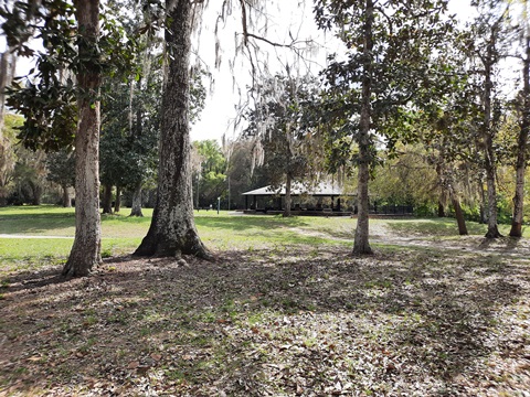 paddling Wekiva River, Wilson's Landing