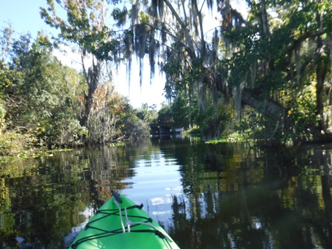 paddling Winter Park Chain of Lakes