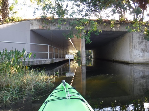 paddling Winter Park Chain of Lakes