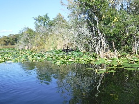 paddling Winter Park Chain of Lakes