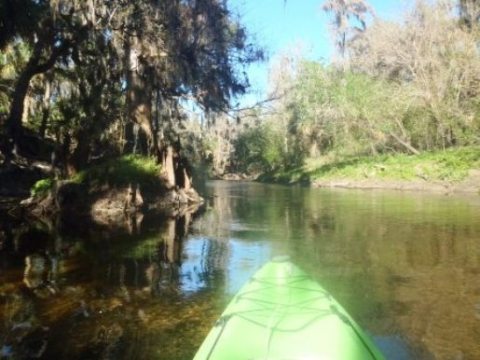 paddle Alafia River, kayak, canoe
