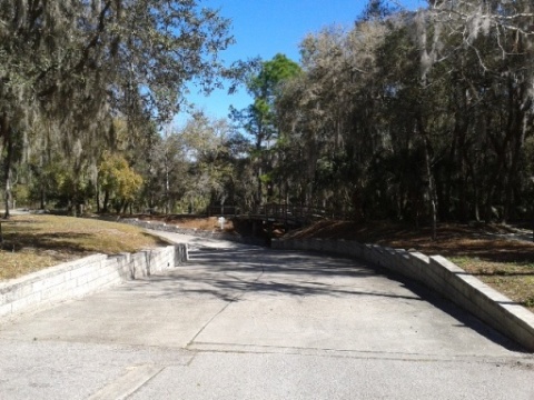 paddling Alafia River, kayak, canoe