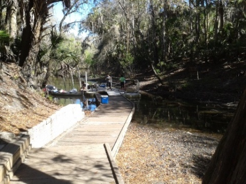 paddling Alafia River, kayak, canoe