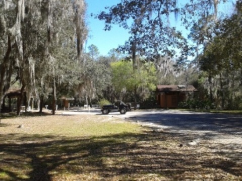 paddling Alafia River, kayak, canoe