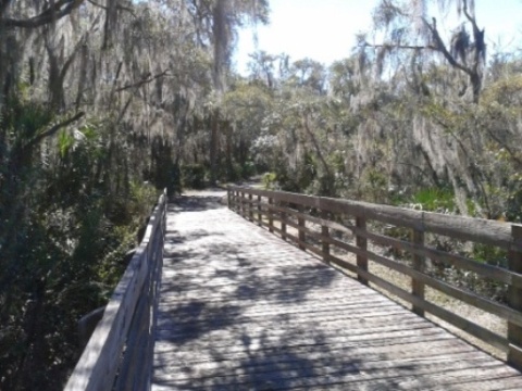 paddling Alafia River, kayak, canoe